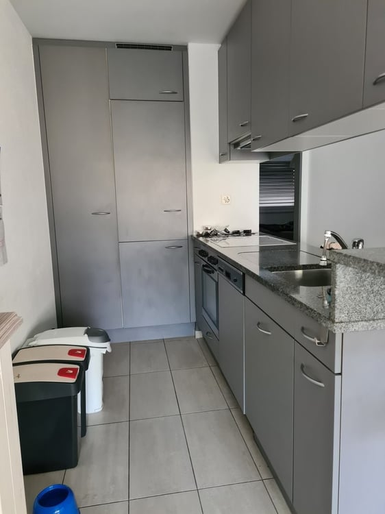 A saisir ! Spacieux appartement à Sion ! 3