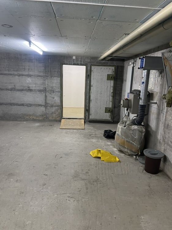 Dépôts à louer à Pully de 32.5 m2 à 221 m2 10