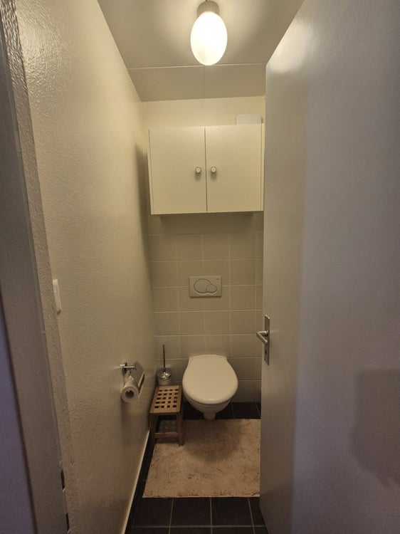 À saisir ! Magnifique appartement au centre de Meyrin ! 6