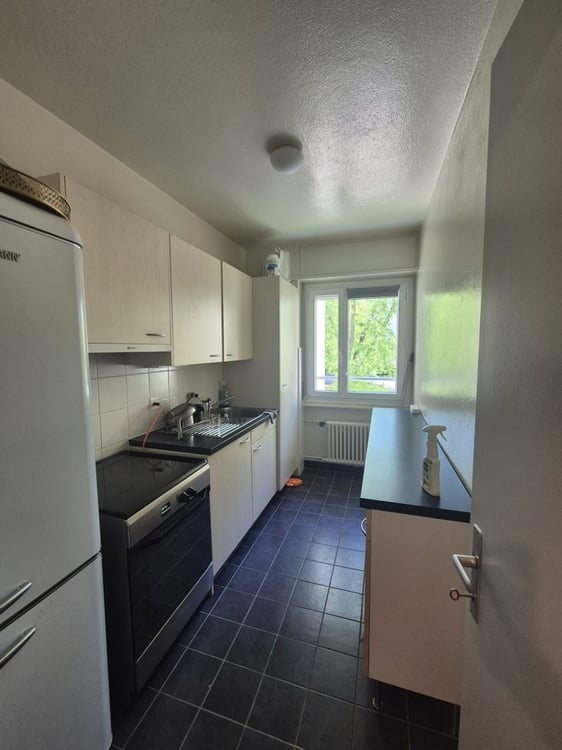 À saisir ! Magnifique appartement au centre de Meyrin ! 3
