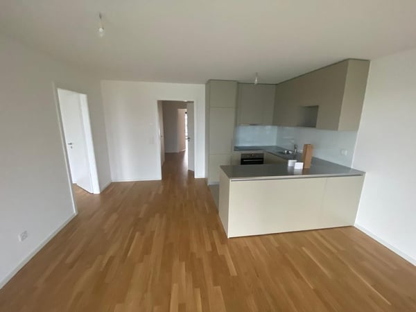 A saisir ! Charmant logement dans un quartier résidentiel de Nyon ! 5
