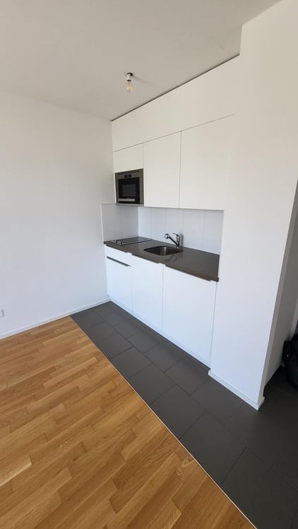 A saisir ! Magnifique studio au coeur de Fribourg ! 3
