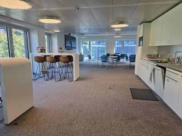 Surface de 600m2 disponible à Vidy-Ouchy ! 3