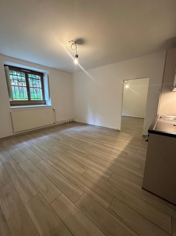 À saisir ! Appartement au coeur de Genève ! 2