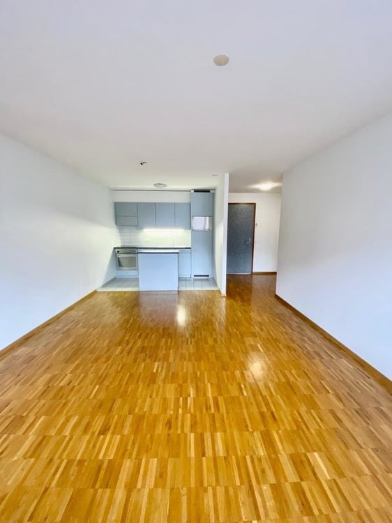 À saisir ! Magnifique appartement à Sierre ! 3