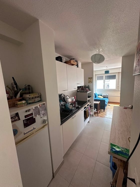 Á saisir ! Splendide appartement au coeur de Genève ! 4