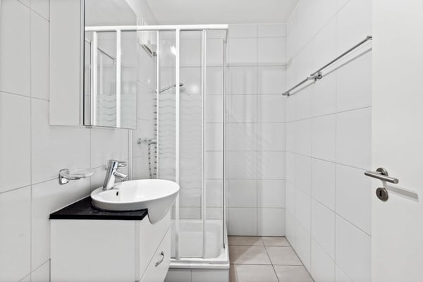 À saisir ! Magnifique appartement au centre-ville de Sion ! 9