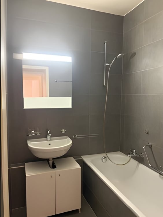 A saisir ! Votre appartement proche de Plainpalais ! 5