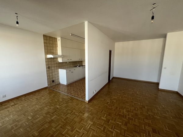 Votre appartement en face de la gare Cornavin 3