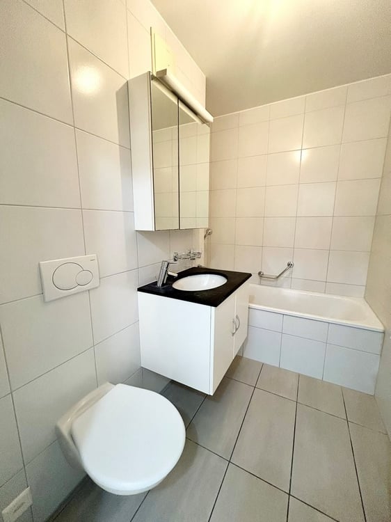 A saisir ! Lumineux appartement à Sion ! 7