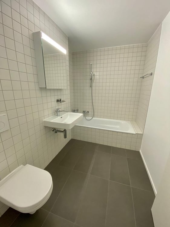 A saisir ! Magnifique duplex à louer 6
