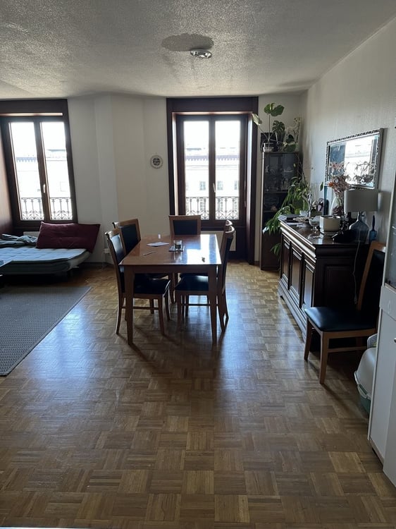 Spacieux appartement en face de la gare de Cornavin 3