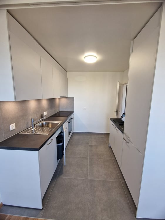 A saisir ! Magnifique logement idéalement situé à Renens ! 5