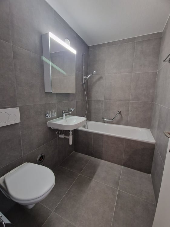 A saisir ! Magnifique logement idéalement situé à Renens ! 8