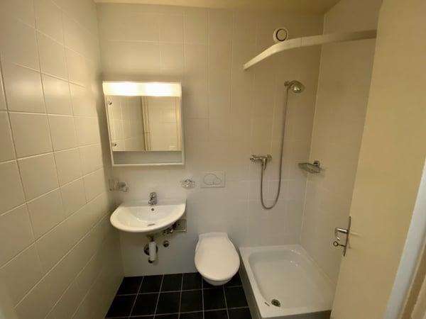 A saisir ! Superbe logement proche du centre-ville de Lausanne ! 5