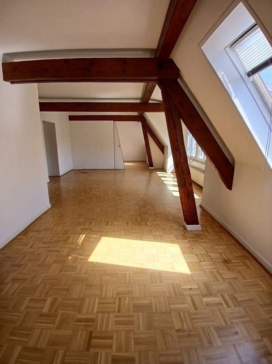 A saisir ! Charmant appartement à louer au coeur de Plainpalais ! 3