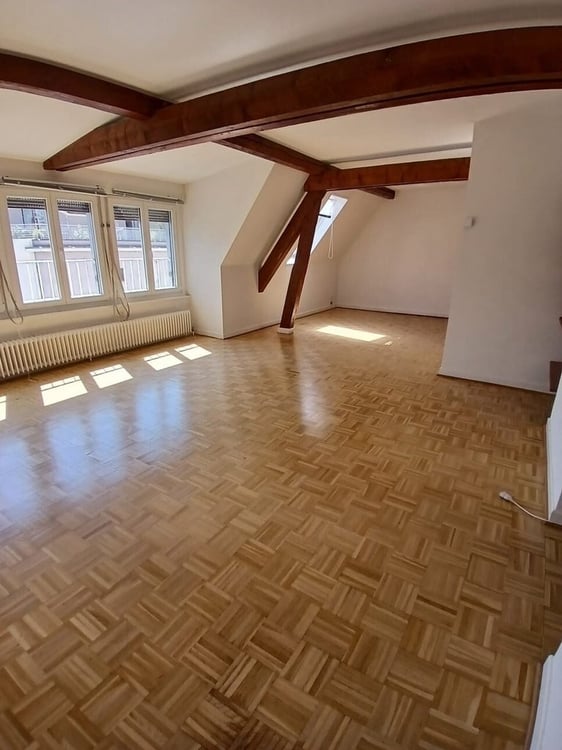 A saisir ! Charmant appartement à louer au coeur de Plainpalais ! 2