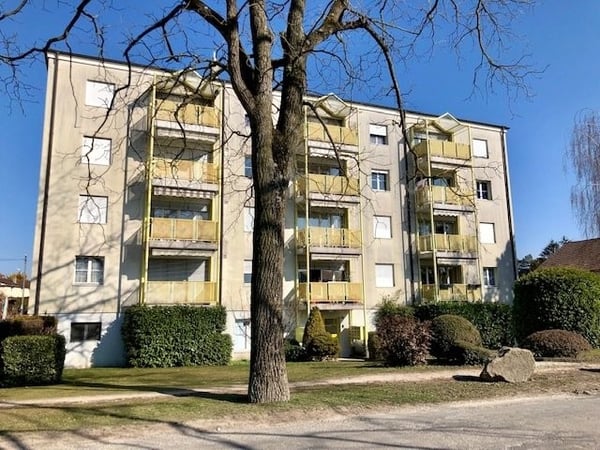 À saisir ! Charmant logement à Yverdon-les-bains ! 1