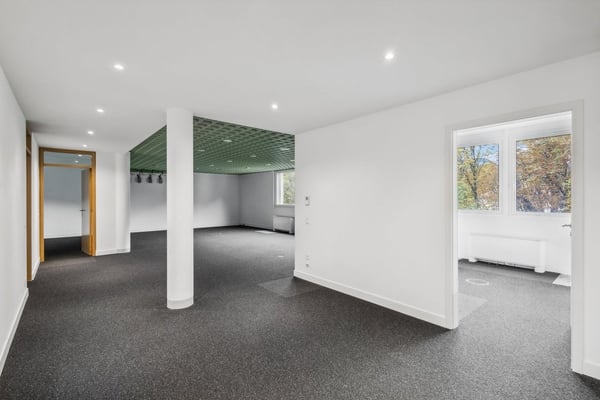 Affittasi moderno e luminoso ufficio in centro Lugano 2