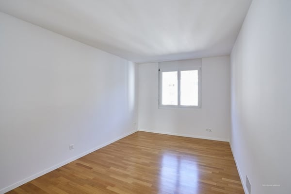 Luminoso 1.5 locali immerso nel verde 5