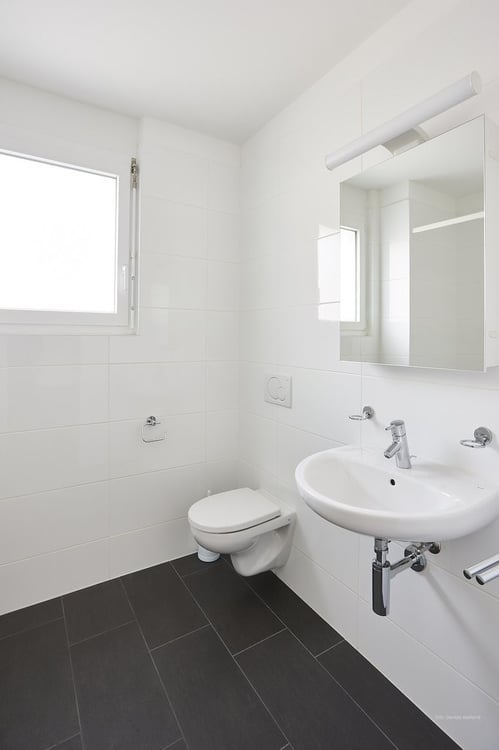 Luminoso 1.5 locali immerso nel verde 9