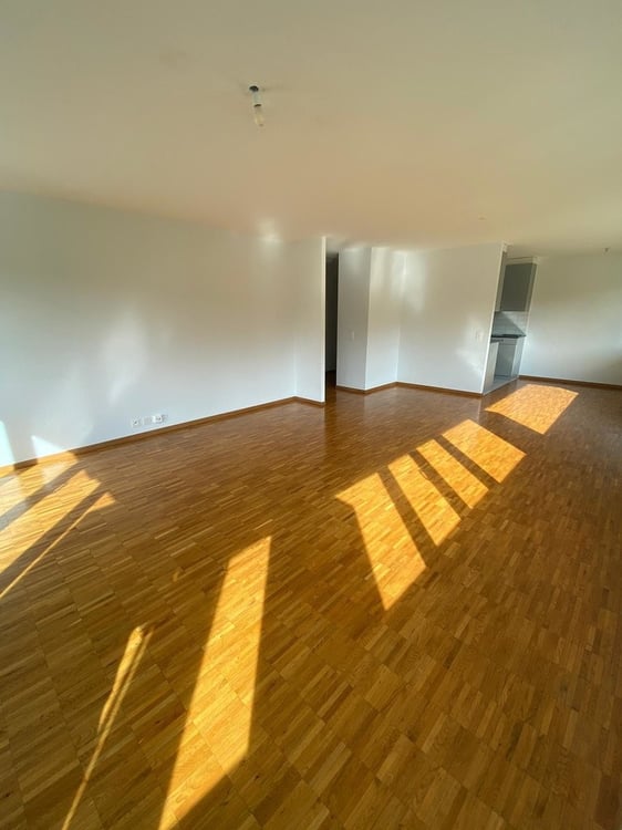 A saisir ! Magnifique appartement au coeur de Sierre ! 4