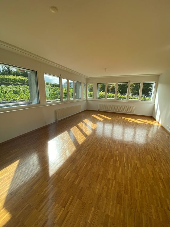 A saisir ! Magnifique appartement au coeur de Sierre ! 5