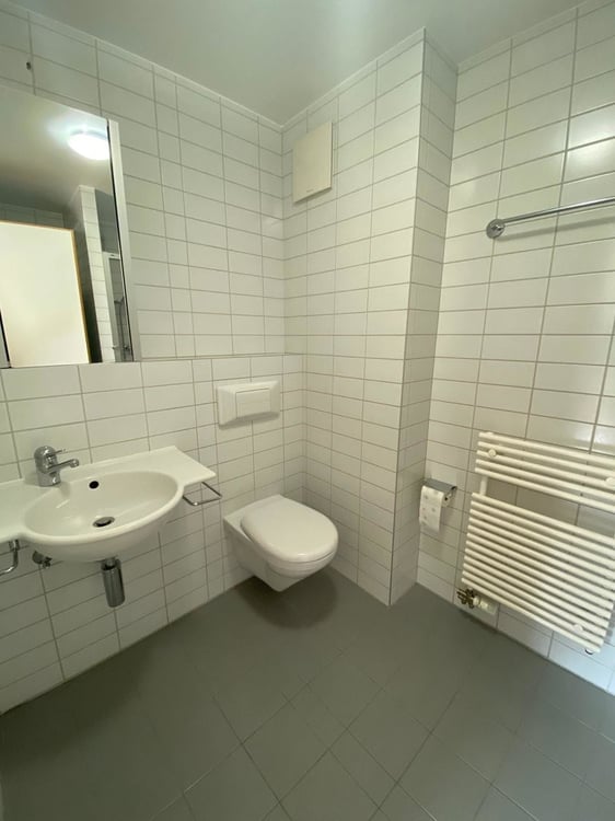 A saisir ! Magnifique appartement au coeur de Sierre ! 10