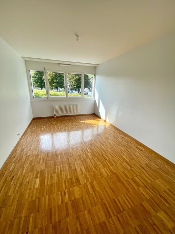 A saisir ! Magnifique appartement au coeur de Sierre ! 7