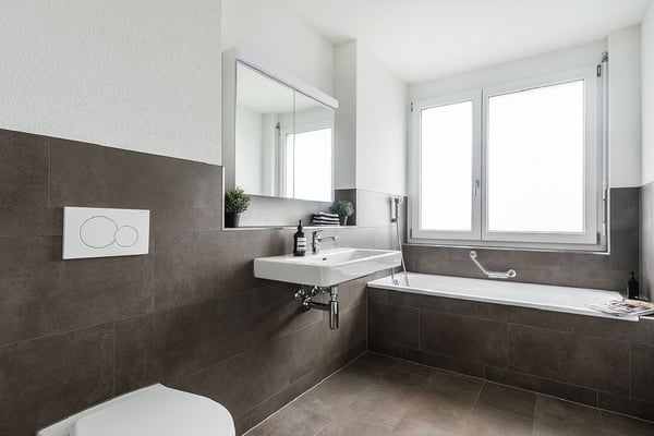 Attikatraum in Altstätten 4.5 Zimmer 5