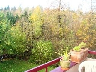 Hier endet Ihre Wohnungssuche 7