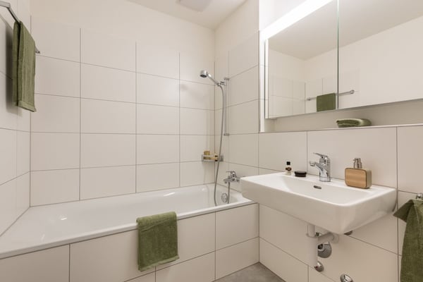 Attikawohnung mit grosser Terrasse 4