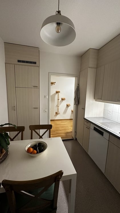 Ihr neues Wohnreich in Zürich 7