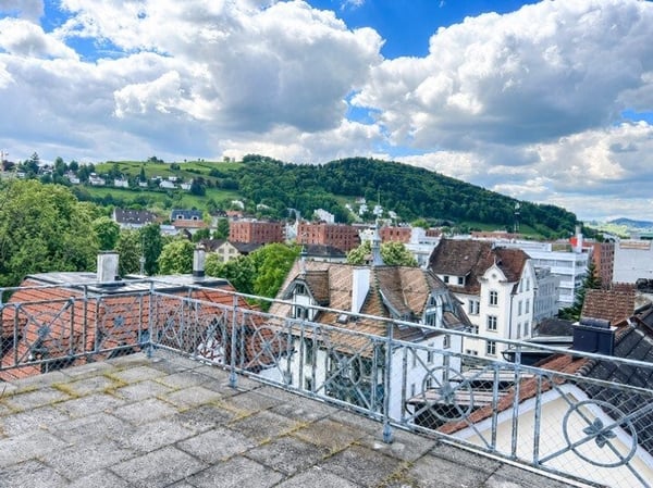 Einzigartige 5.5-Zimmer-Wohnung mit Dachterrasse & grossem Estrich 10