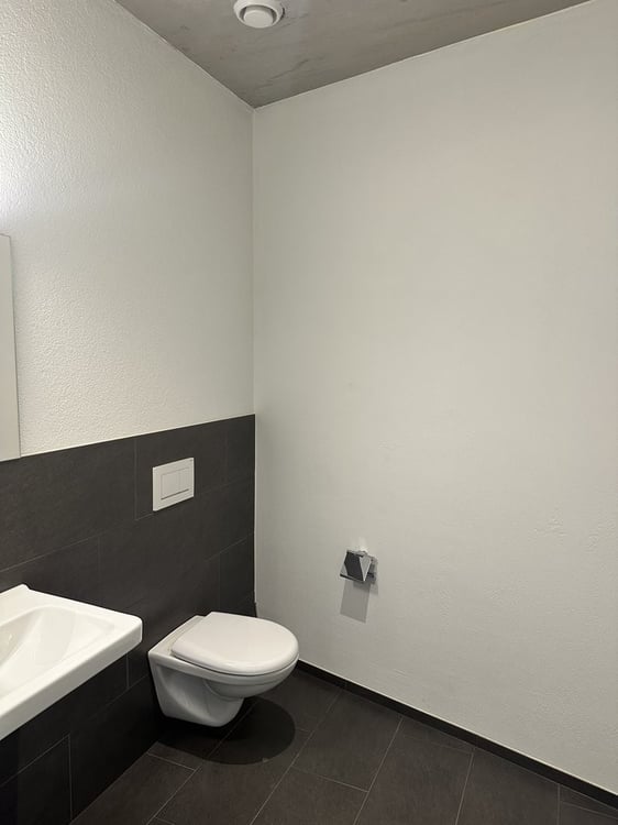 Moderne Gewerbefläche an bester Lage in Heerbrugg 9
