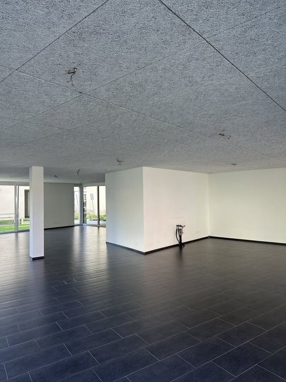 Moderne Gewerbefläche an bester Lage in Heerbrugg 5