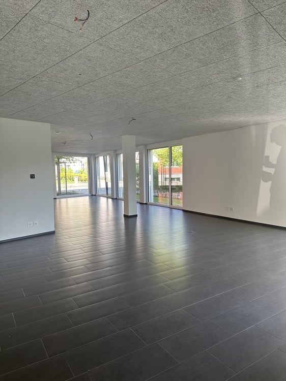 Moderne Gewerbefläche an bester Lage in Heerbrugg 2