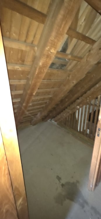 4 Zimmerwohnung EG - befristet bis 30.09.2027 12