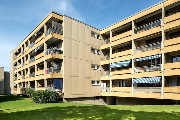 Ihr neues Familienreich 1