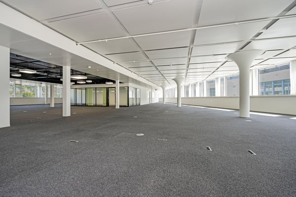 Openspace Büro - Flexibel & Anpassungsfähig, perfekt für Ihr Business! 3