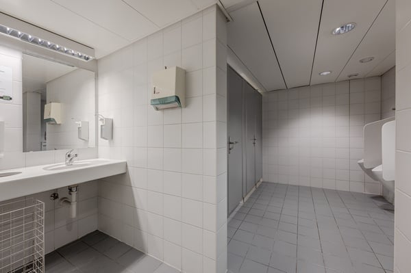 Fresh Start im Hammer 2 4