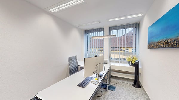 Ein Bijou mitten in Baden... 9