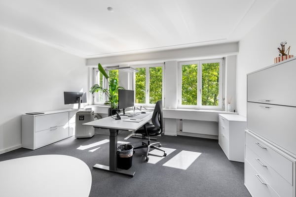 Mitten in Winterthur hier trifft Business auf beste Lage! 10