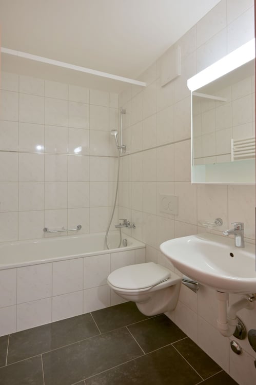 Wohnwunder in Basel 2