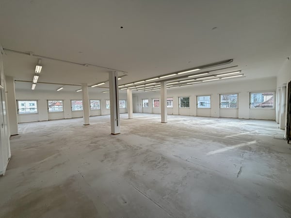 Attraktive Gewerbefläche (252 m²) in Os…
