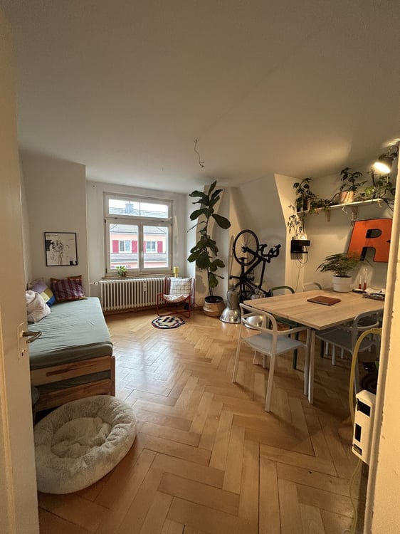 Charmante 1-Zimmer-Wohnung an zentraler Lage in Zürich 3