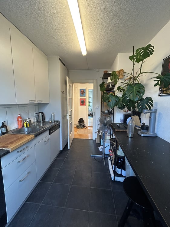 Charmante 1-Zimmer-Wohnung an zentraler Lage in Zürich 4