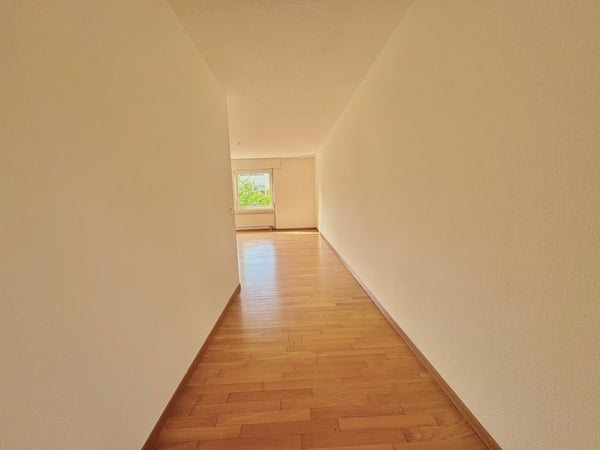 Attraktive 4.5-Zimmerwohnung in ruhigem, kinderfreundlichem Quartier 3