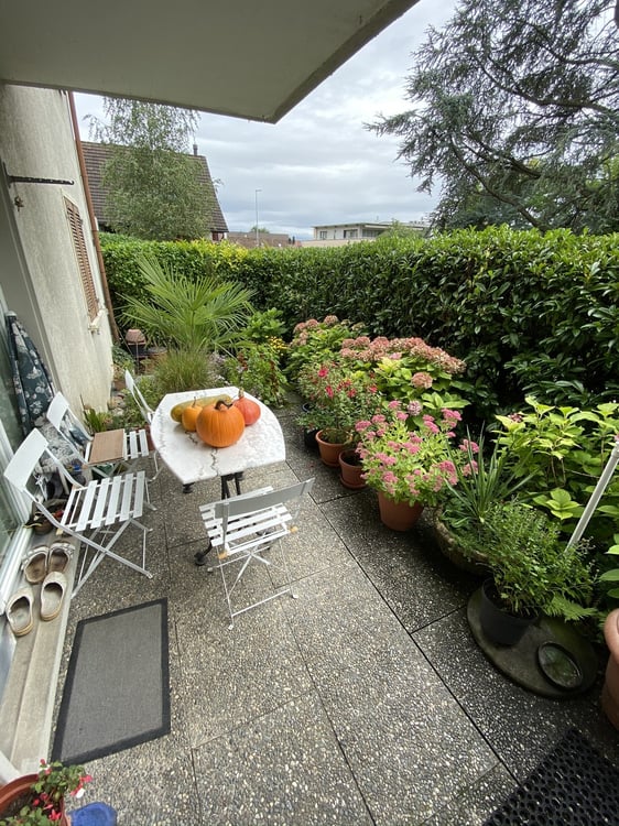 Attraktive 2.5 Zimmerwohnung mit Gartensitzplatz 3