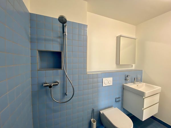 1.0 Zimmerwohnung in Basel 7